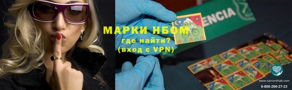 PSILOCYBIN Алексеевка