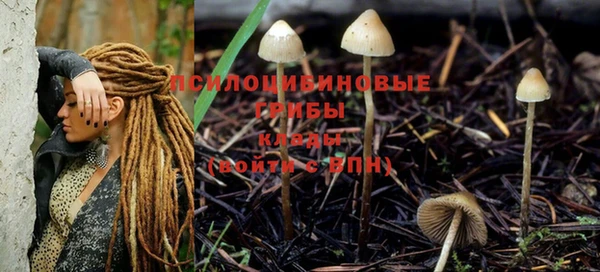 PSILOCYBIN Алексеевка