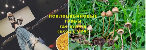 СК Алексин