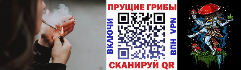 Галлюциногенные грибы мицелий  MEGA онион  Нарьян-Мар 