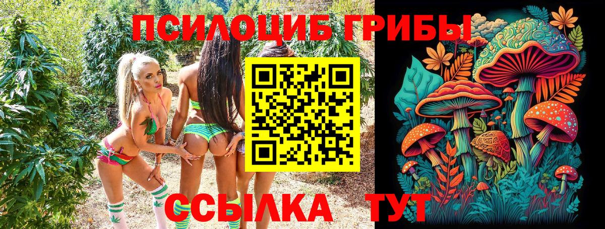 Псилоцибиновые грибы мицелий  Вход с VPN  Нарьян-Мар 
