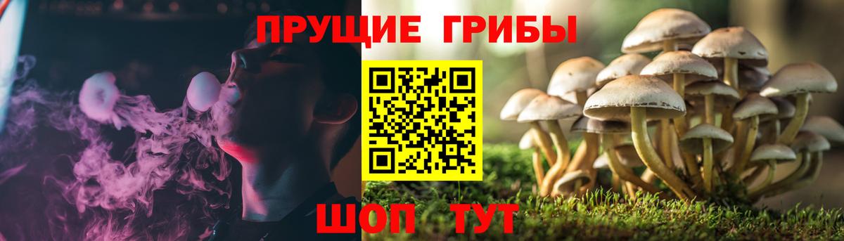 Галлюциногенные грибы прущие грибы Нарьян-Мар